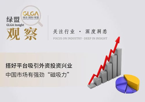 綠盟觀察丨搭好平臺吸引外資投資興業,中國市場有強勁 磁吸力